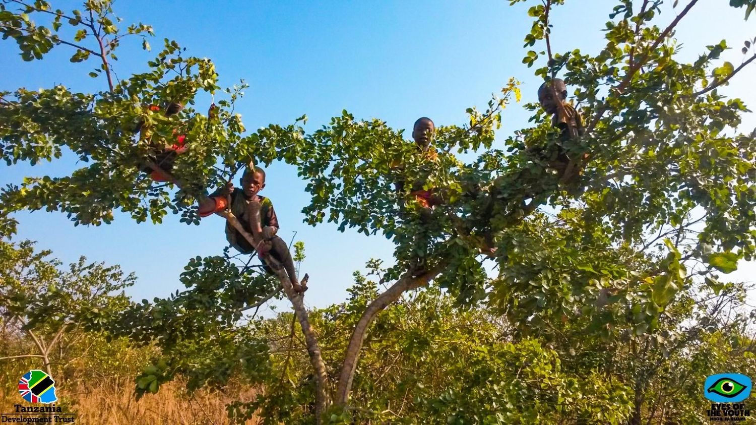 Copy of TDT Post (2)