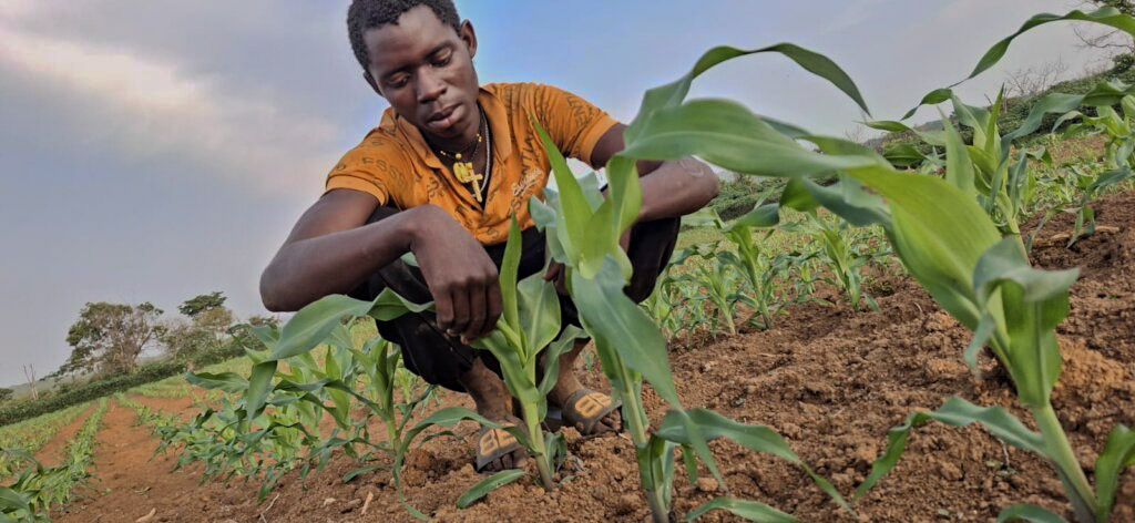 Feeding our Families through Climate-Smart Farming: An update from Benedicto